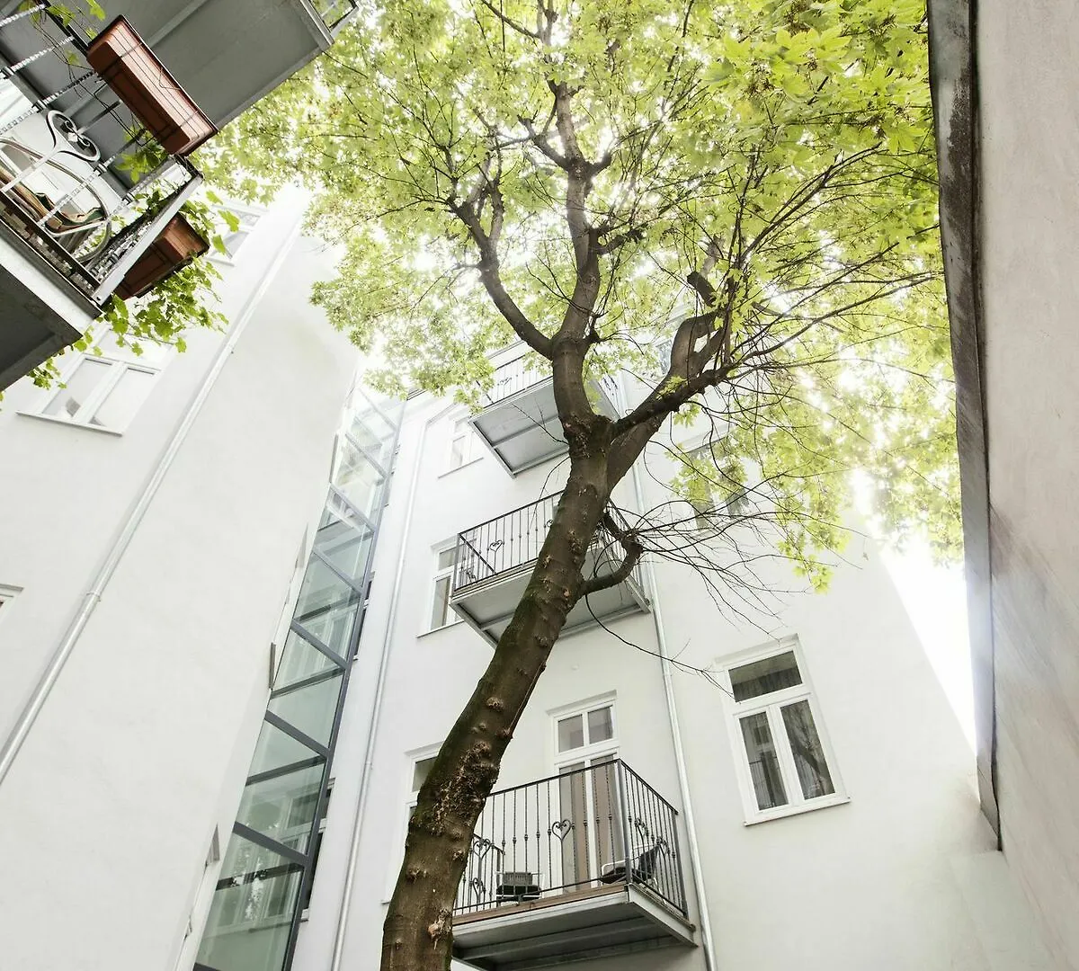Apartment Nestroygasse Vienna